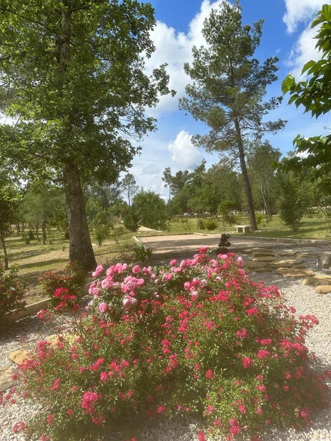 Villa LA GRANDE BASTIDE avec piscine, climatisation et salle de sport Seillans Esterno foto