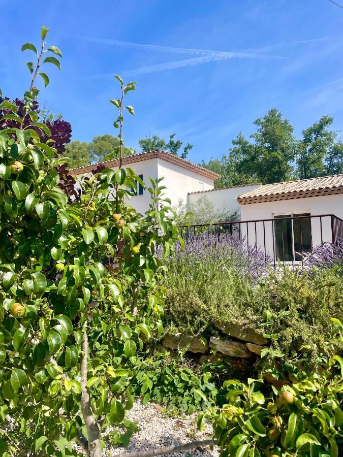 Villa LA GRANDE BASTIDE avec piscine, climatisation et salle de sport Seillans Esterno foto