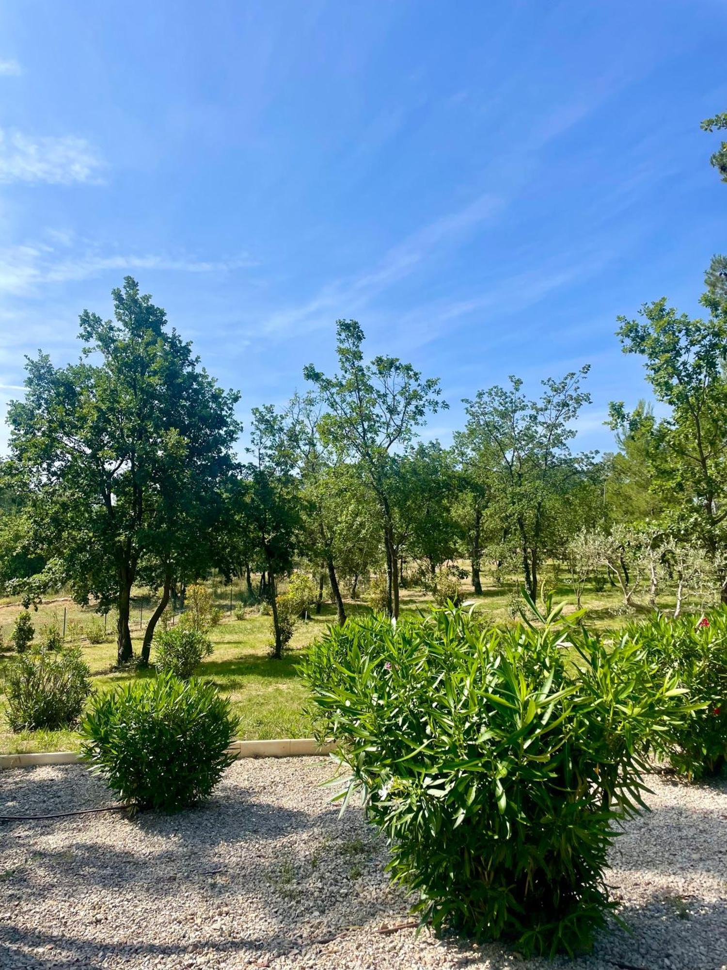 Villa LA GRANDE BASTIDE avec piscine, climatisation et salle de sport Seillans Esterno foto