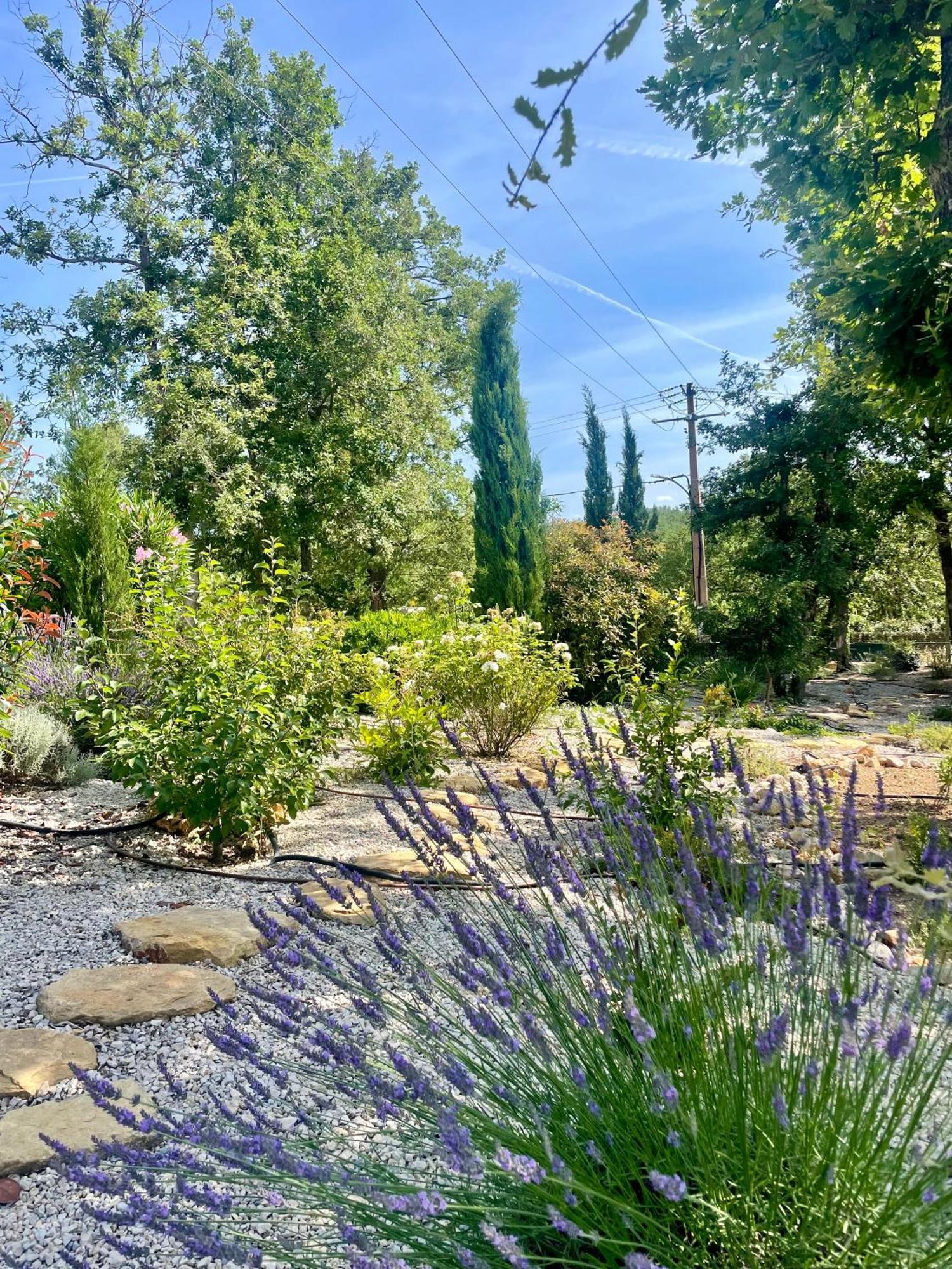 Villa LA GRANDE BASTIDE avec piscine, climatisation et salle de sport Seillans Esterno foto
