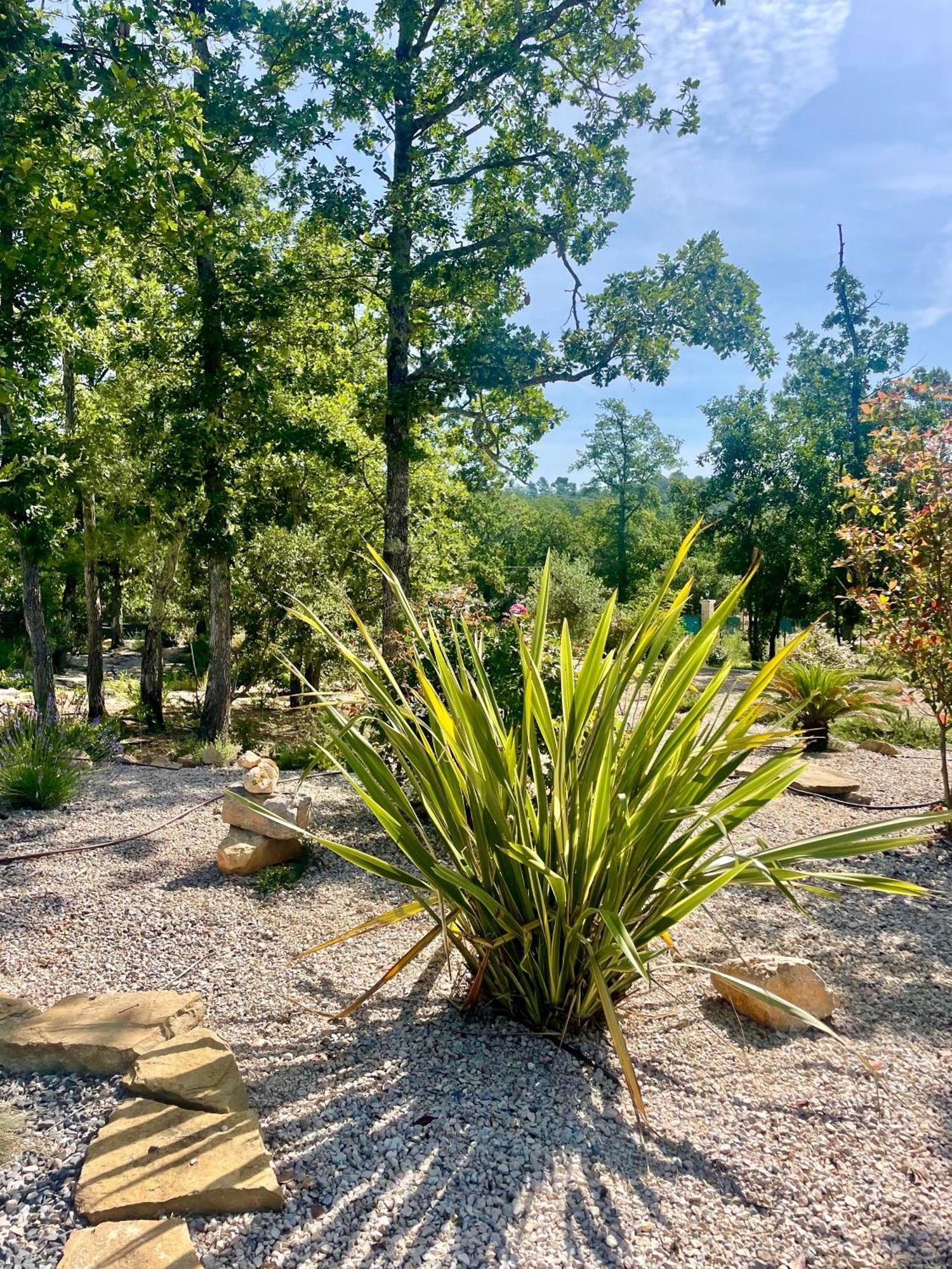 Villa LA GRANDE BASTIDE avec piscine, climatisation et salle de sport Seillans Esterno foto