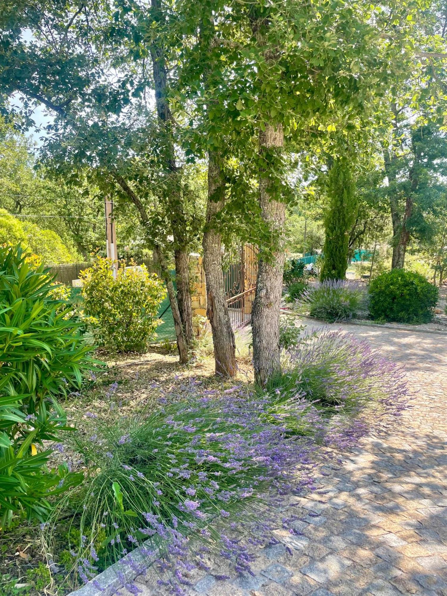 Villa LA GRANDE BASTIDE avec piscine, climatisation et salle de sport Seillans Esterno foto