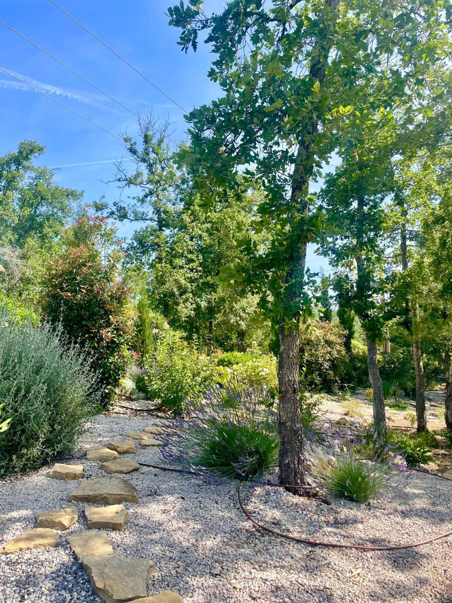 Villa LA GRANDE BASTIDE avec piscine, climatisation et salle de sport Seillans Esterno foto